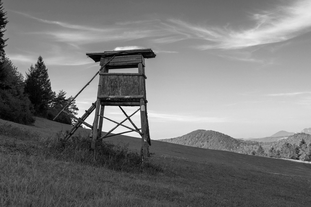 Wooden Watchtower geno153 on Pixabay
