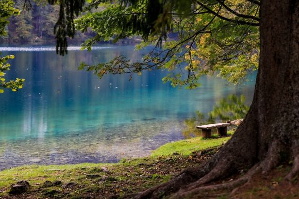 bench-by-a-blue-green-lake-by-ilyessuti-on-pixabay